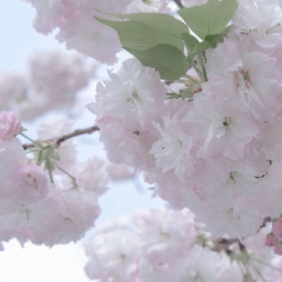 兽设暗黑风格设计福瑞群